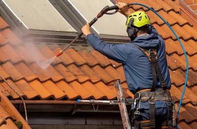 Démoussage et hydrofuge de toiture à Neuffons